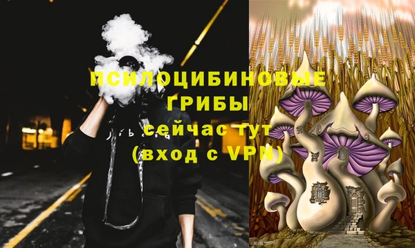 ГАЛЛЮЦИНОГЕННЫЕ ГРИБЫ Белокуриха