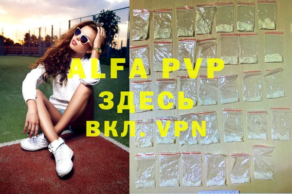 ГАЛЛЮЦИНОГЕННЫЕ ГРИБЫ Белокуриха